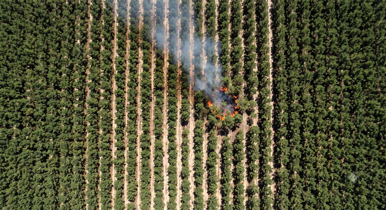 Départ de feu